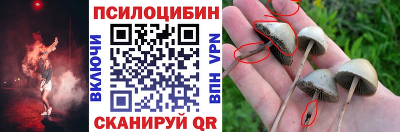 Псилоцибиновые грибы Magic Shrooms  Шенкурск 